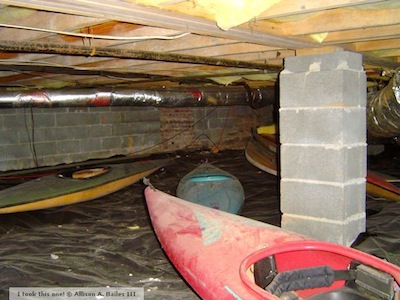 3 Reasons Your Crawl Space Has High Humidity & Grows Stuff