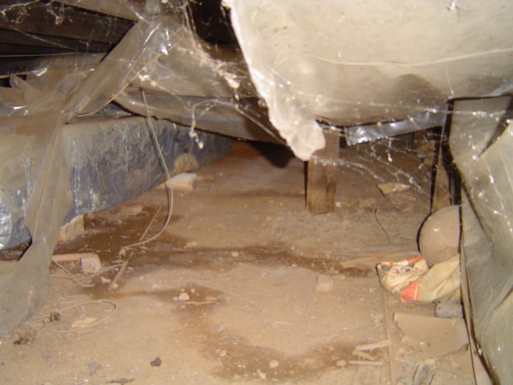 Scary Halloween crawl space