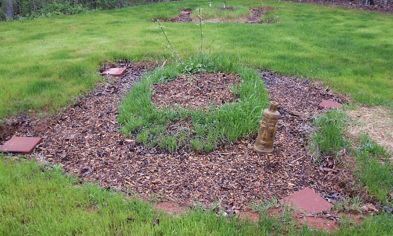 Branched Drain Greywater System With Drainage Moats Around Trees