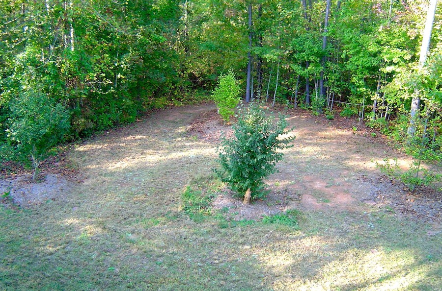 Construction of a branched drain greywater system: complete with trees, a few years later