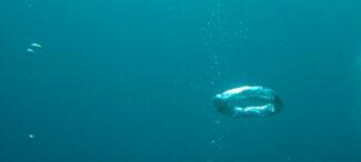 The stack effect causes warm air to rise the way bubbles rise in water