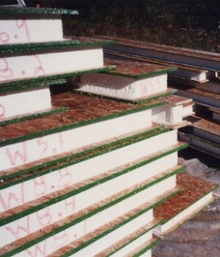 White Expanded Polystyrene (EPS) In Structural Insulated Panels