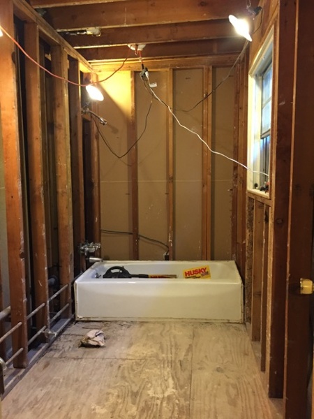 Bathroom-renovation-demolition-done.jpg
