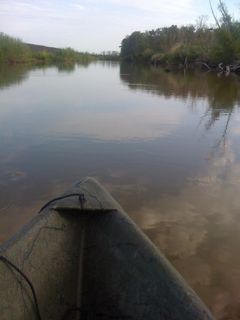 Louisiana Bayou Cajuns Peak Oil Pirogue