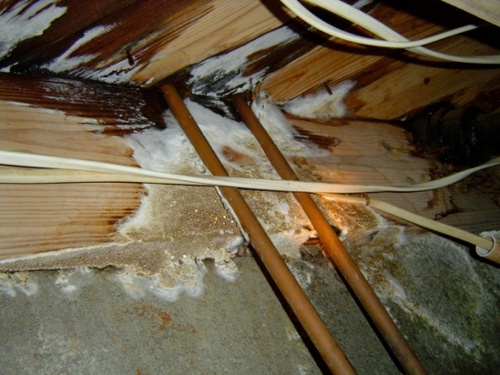 Moisture-management-plumbing-leak-indoor-air-quality-asthma.jpg