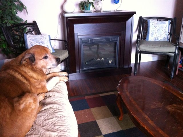 Electric-resistance-heating-amish-fireplace