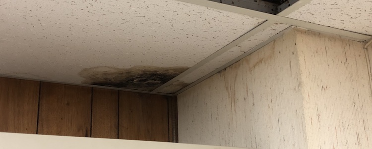 Water-damage-basement-ceiling-tile