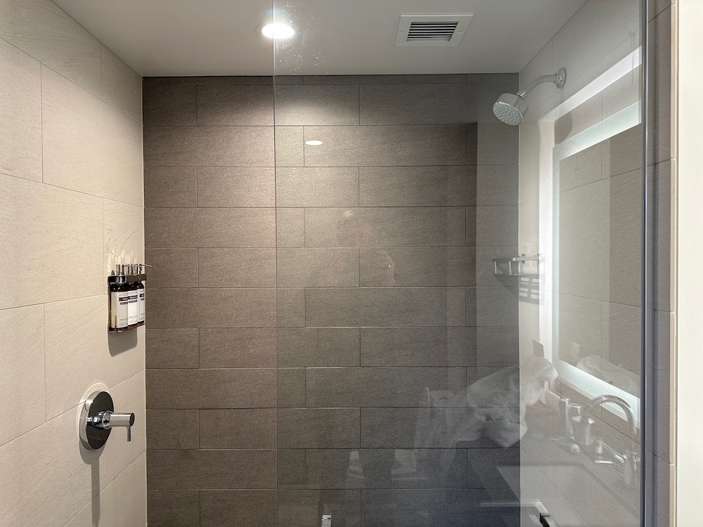 Shower controls at the entrance, showerhead on the opposite side