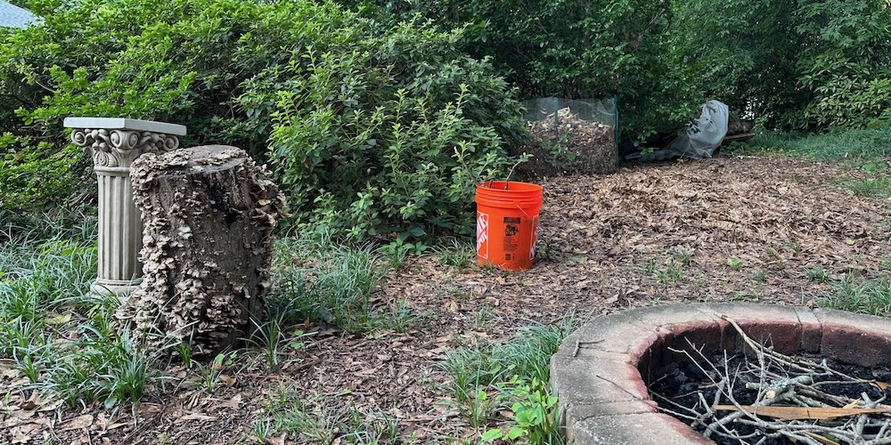 A Mosquito Bucket Of Death In The Backyard