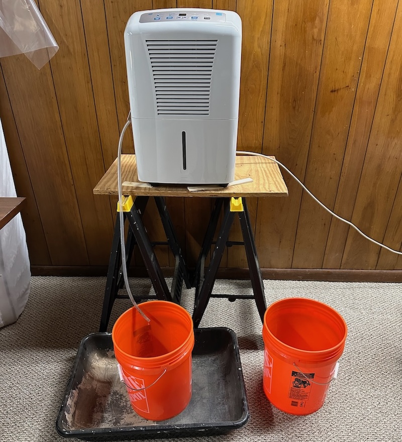 Water condensed on a dehumidifier coil is free of the chlorine found in municipal water supplies